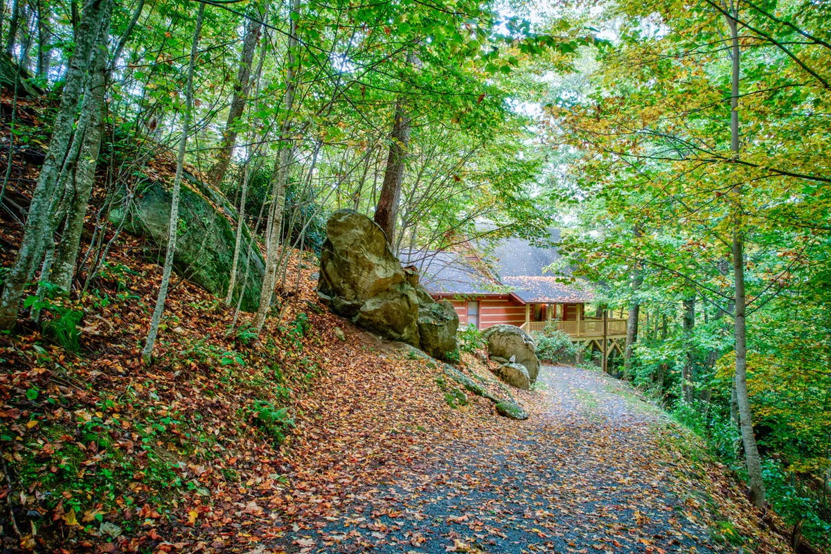 The image shows the cabin nestled among trees with a visible pathway and large rocks, creating an inviting entry point to outdoor exploration. The overall mood is peaceful, with hints of sunrise or sunset light filtering through the forest, suggesting possibilities for day-long adventures and nighttime stargazing.